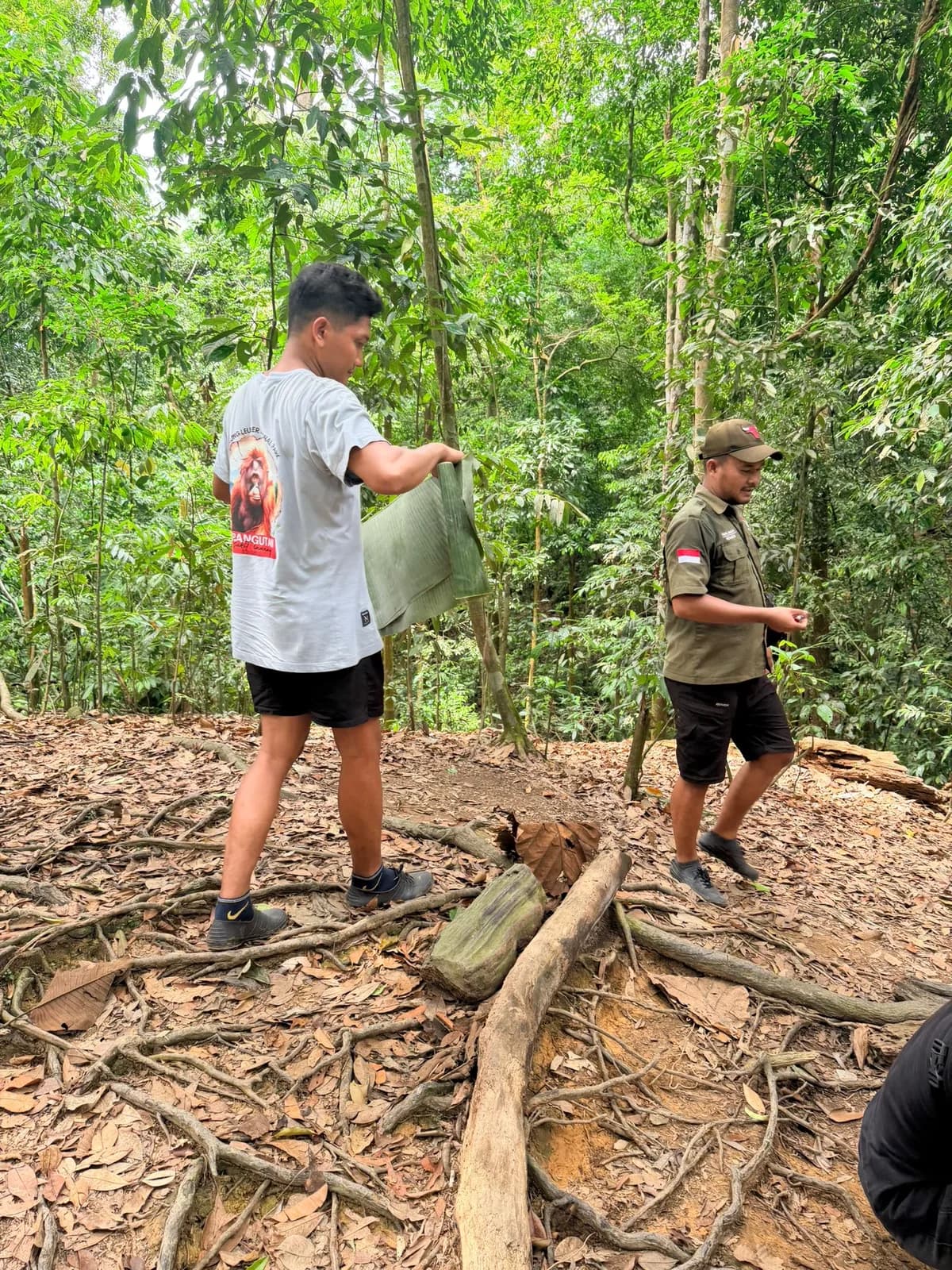 5-Day Exclusive Eco Jungle Package