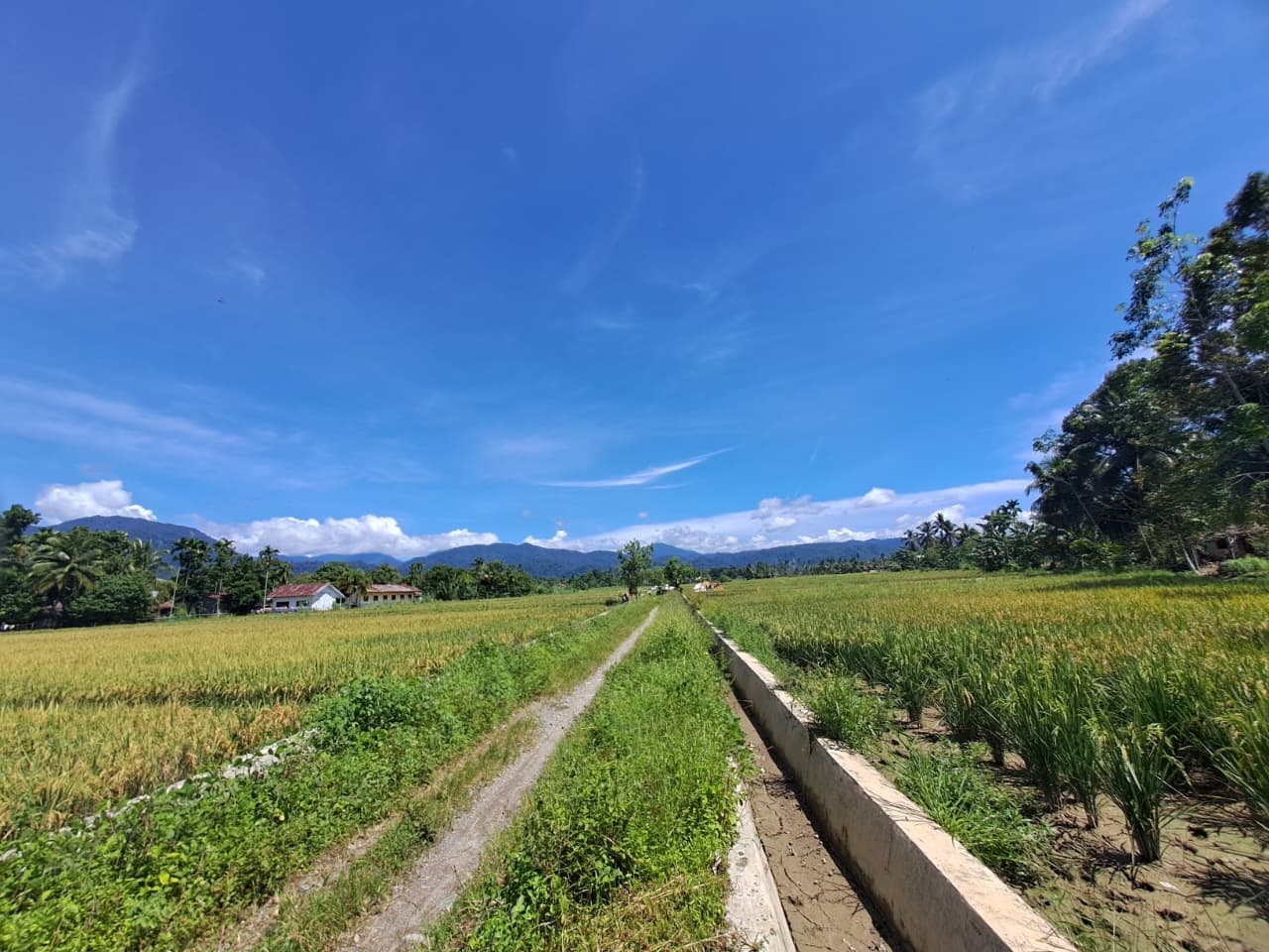 Village Tour